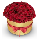 Box červených růží